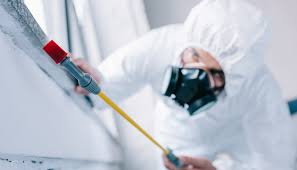 Best Emergency Pest Control  in Bridgeview, IL